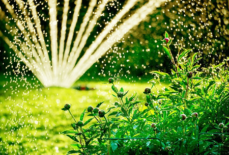 BleBox tempSensor PRO