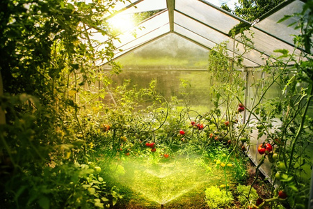 BleBox tempSensor PRO